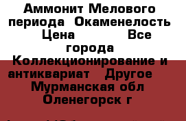 Аммонит Мелового периода. Окаменелость. › Цена ­ 2 800 - Все города Коллекционирование и антиквариат » Другое   . Мурманская обл.,Оленегорск г.